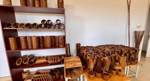 Bamboo Innovations