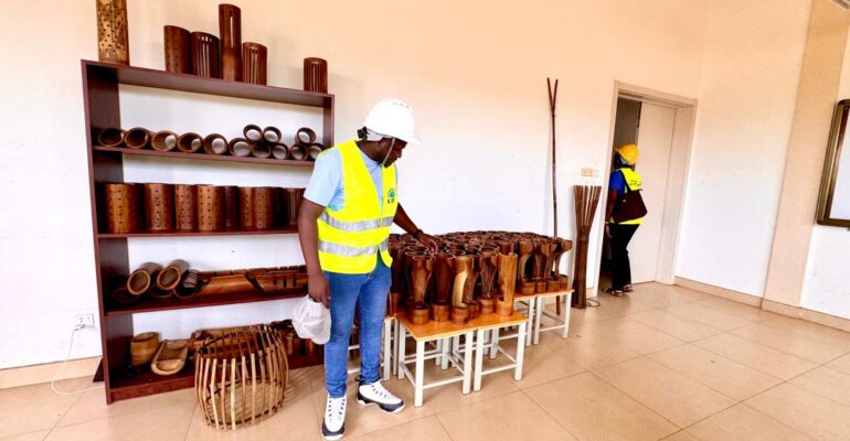 Innovations in Bamboo and Their Role in Climate Change Mitigation