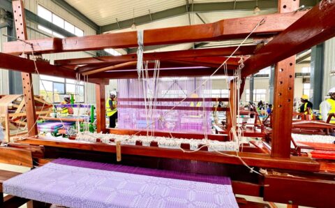 Embracing Eco-Friendly Fabrics