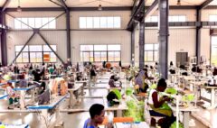 Climate Resilience and Job Creation