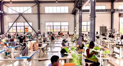 Climate Resilience and Job Creation