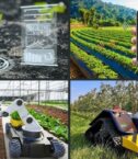 IoT Agric