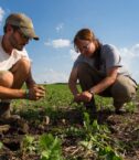 Smart agriculture