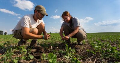 Smart agriculture