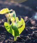 Generative agritech