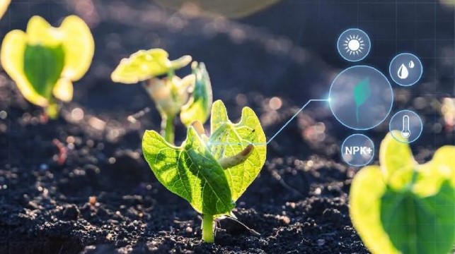 Generative agritech