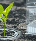 soil study