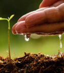 climate smart agric