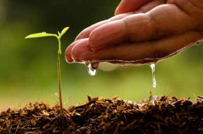 climate smart agric
