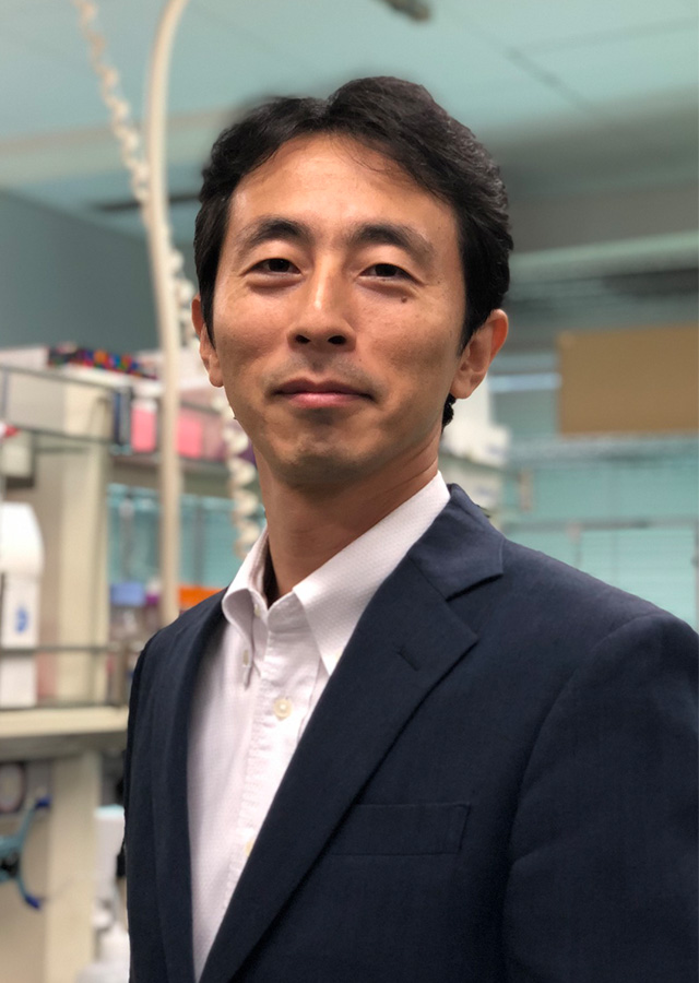 Prof. Dr. Naoki Hirotsu